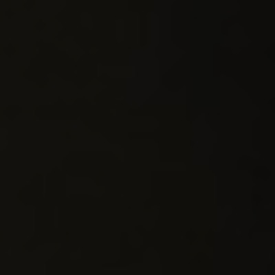 Owner avatar