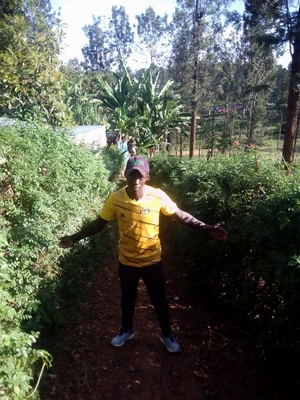 Artwork preview image