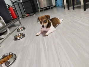 Artwork preview image