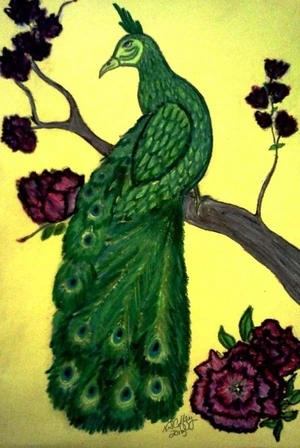 ASIAN PEACOCK
