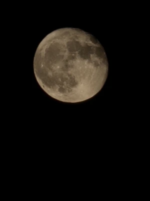 Artwork preview image