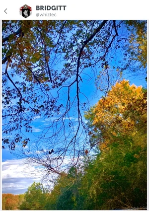 Artwork preview image