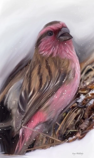 Artwork preview image