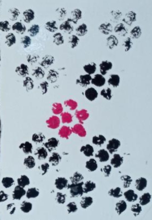 Artwork preview image