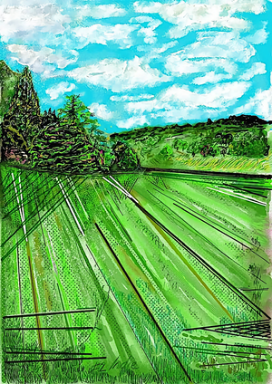 00259B CANNON HALL LANDSCAPE