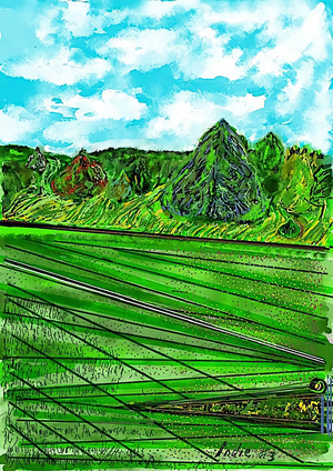 00259D CANNON HALL LANDSCAPE