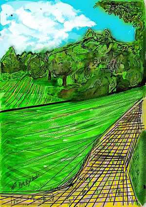 00259E CANNON HALL LANDSCAPE