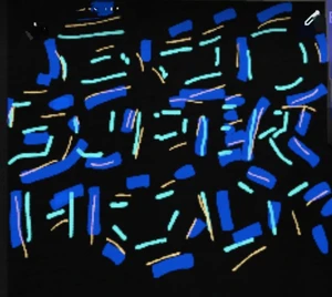 Artwork preview image