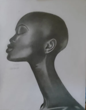 Artwork preview image