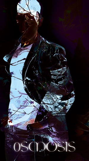 Artwork preview image