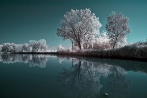 Artwork preview image