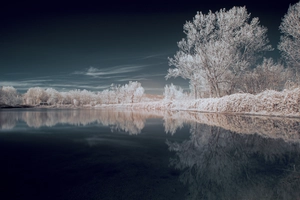 Artwork preview image