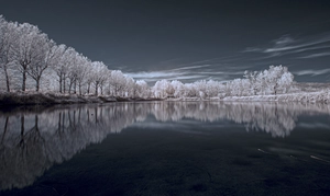 Artwork preview image