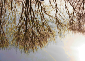 Artwork preview image