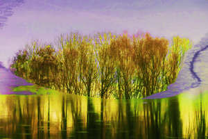 Artwork preview image