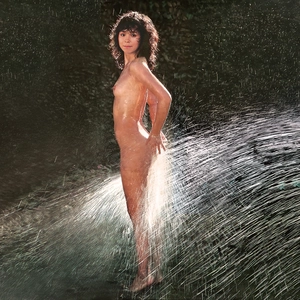 Artwork preview image