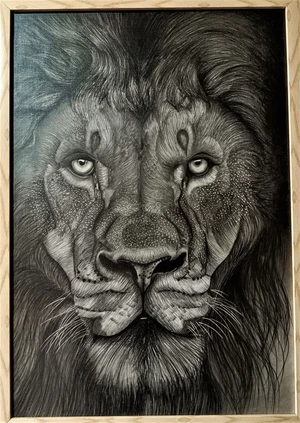 Artwork preview image