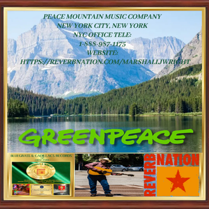 Artwork preview image