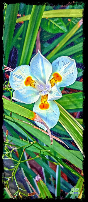 Artwork preview image