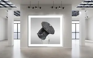 Artwork preview image