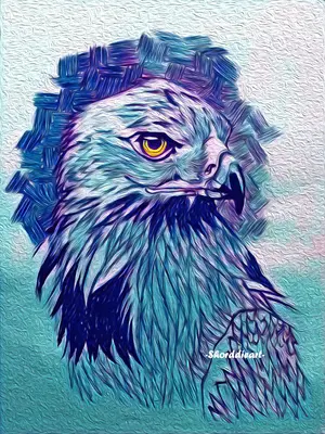 Artwork preview image