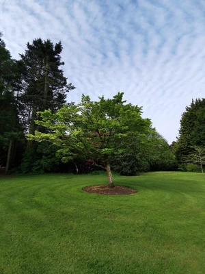 Artwork preview image