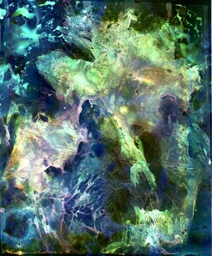 Artwork image