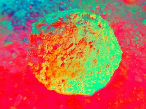 Artwork image