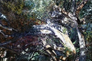 Artwork preview image