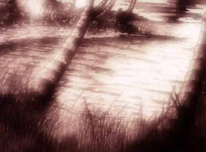 Artwork preview image