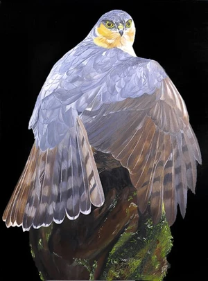Artwork image