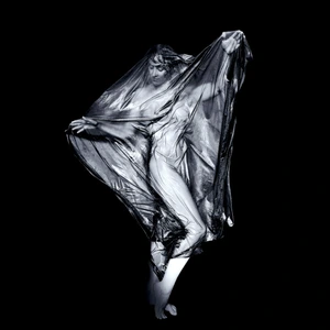 Artwork preview image