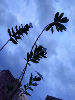 IMG 20240827 190452