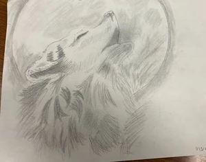 Moonlight shines upon wolf