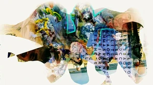 Artwork image