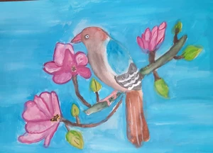 Bird