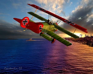 Fokker DR I