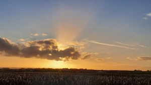 Artwork preview image