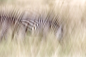 Artwork preview image