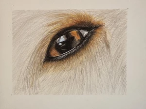 Artwork preview image