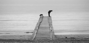 Artwork preview image