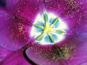 Artwork preview image