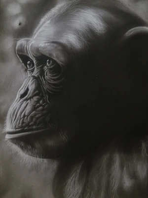 Artwork preview image