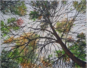 Artwork preview image