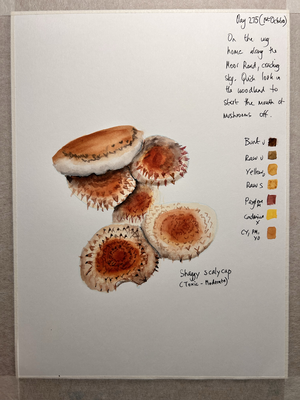 Artwork preview image