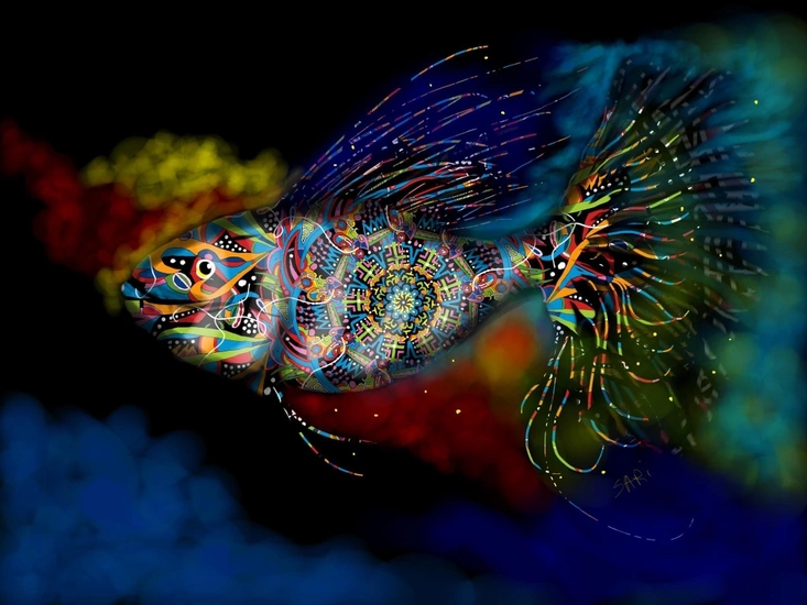 Image