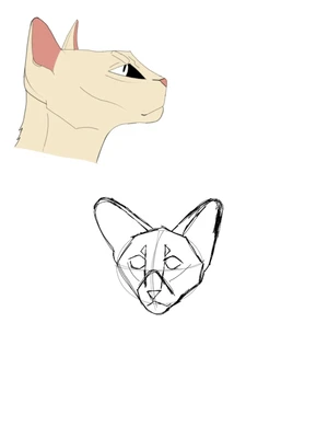 Artwork preview image