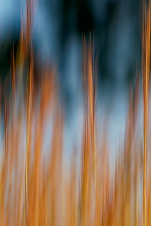 Artwork preview image