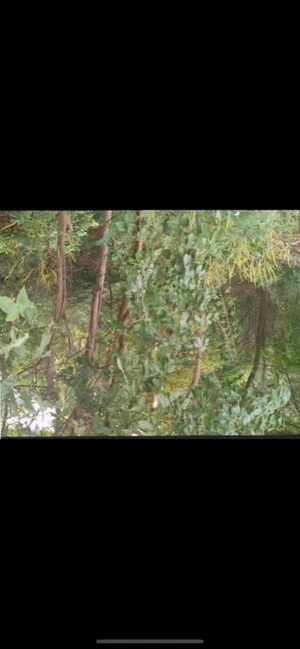 Artwork preview image