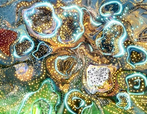 Illuminated Oysters